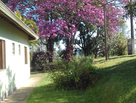 Vende-se duas Propriedades Rurais
